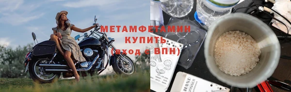 прущие грибы Бронницы