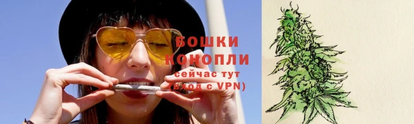 Альфа ПВП Бородино