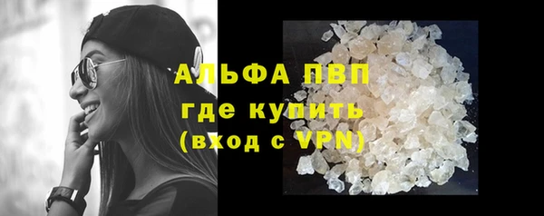 прущие грибы Бронницы