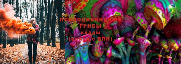прущие грибы Бронницы