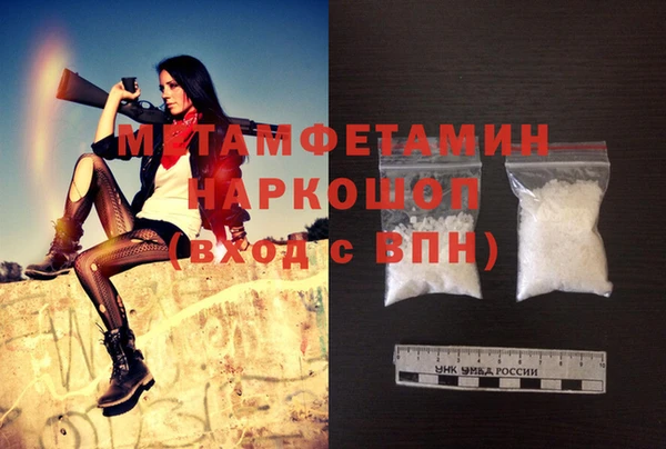 прущие грибы Бронницы