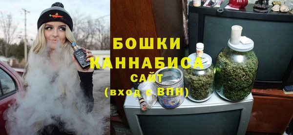 прущие грибы Бронницы