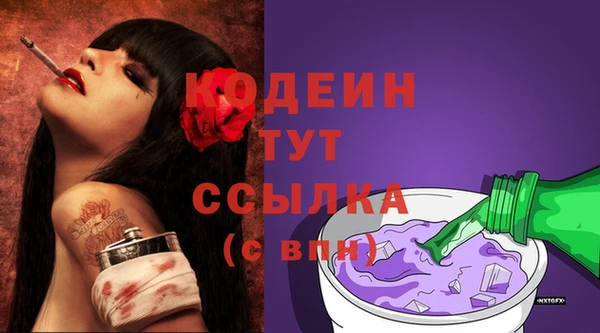 прущие грибы Бронницы