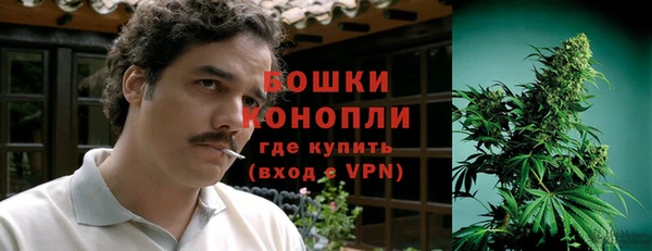 Альфа ПВП Бородино