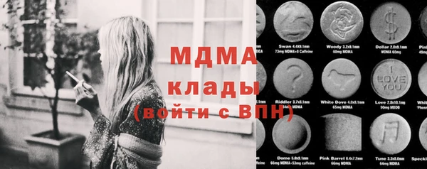 прущие грибы Бронницы